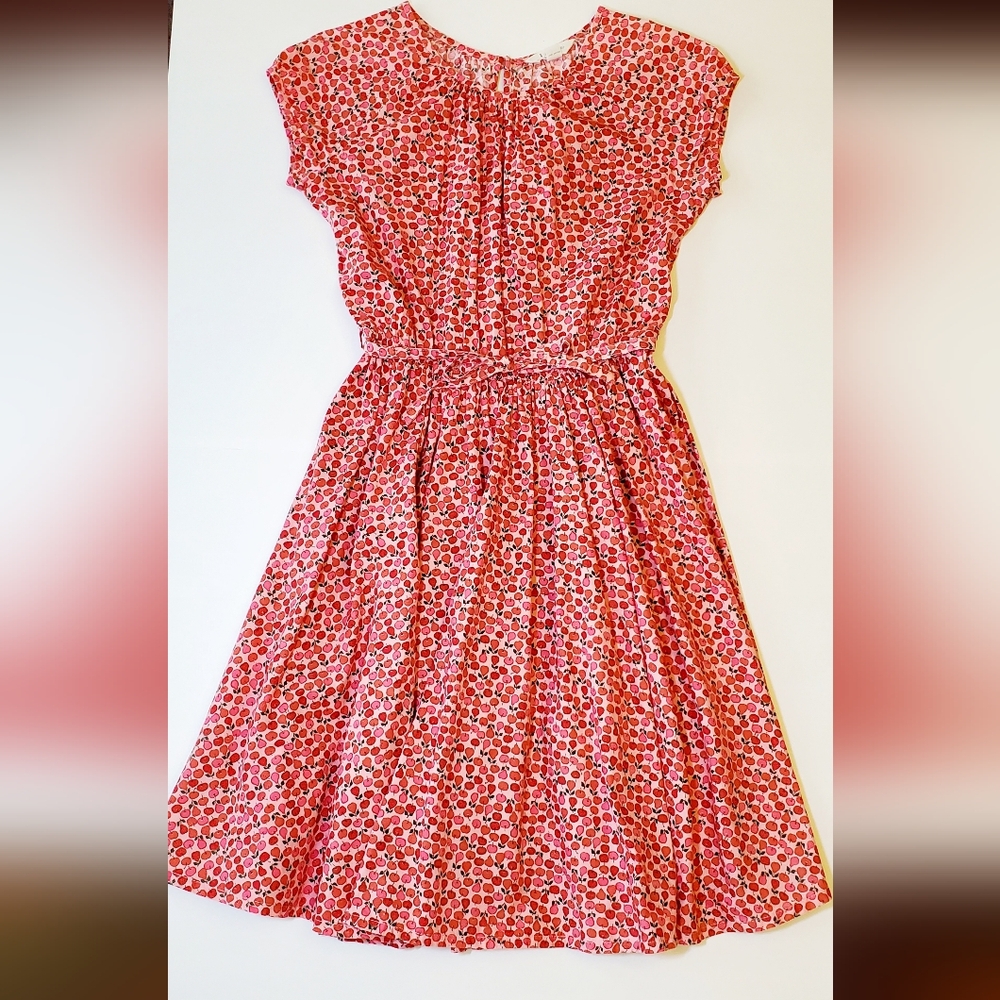 Lands End Girls Twirl Apple Print Dress, 14